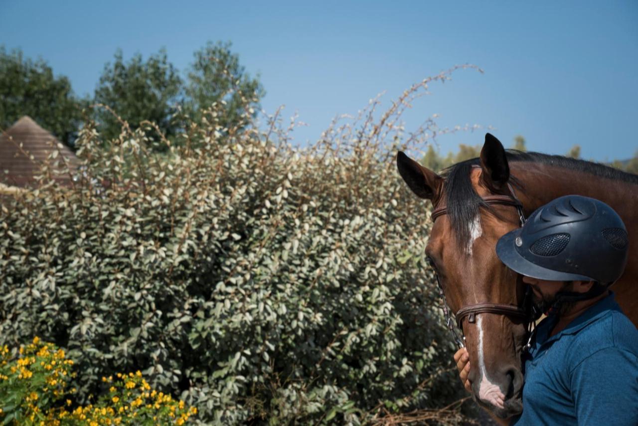 Is Cheas Wine Farm Boutique Alloggio per agriturismo *