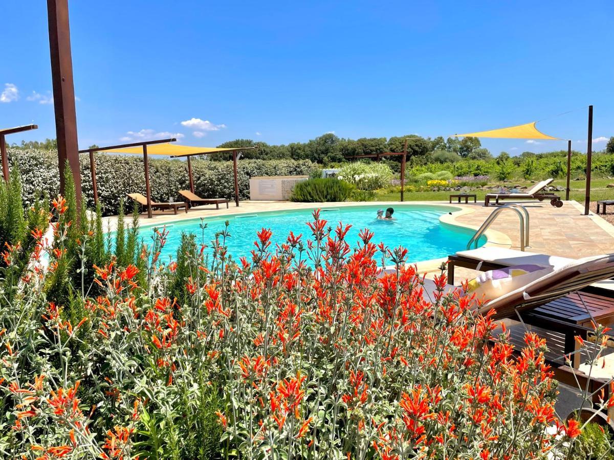 Is Cheas Wine Farm Boutique Bauernhof San Vero Milis