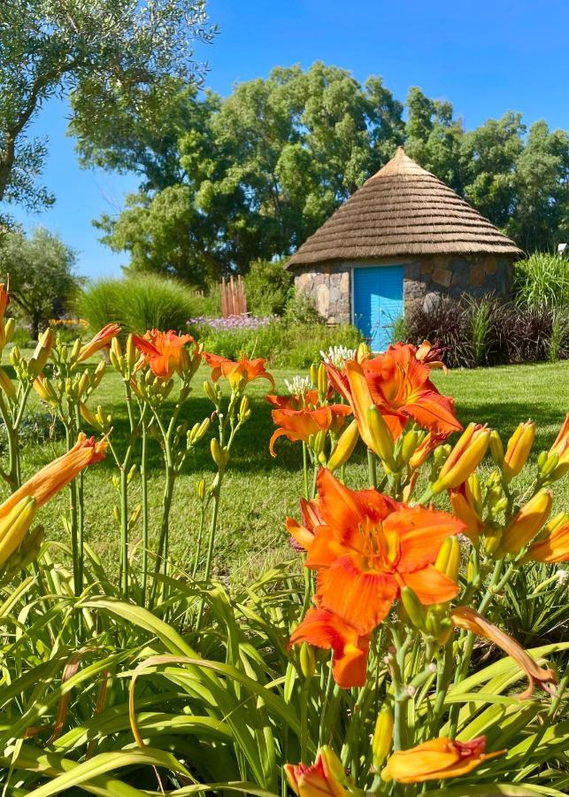 Is Cheas Wine Farm Boutique Agroturismo