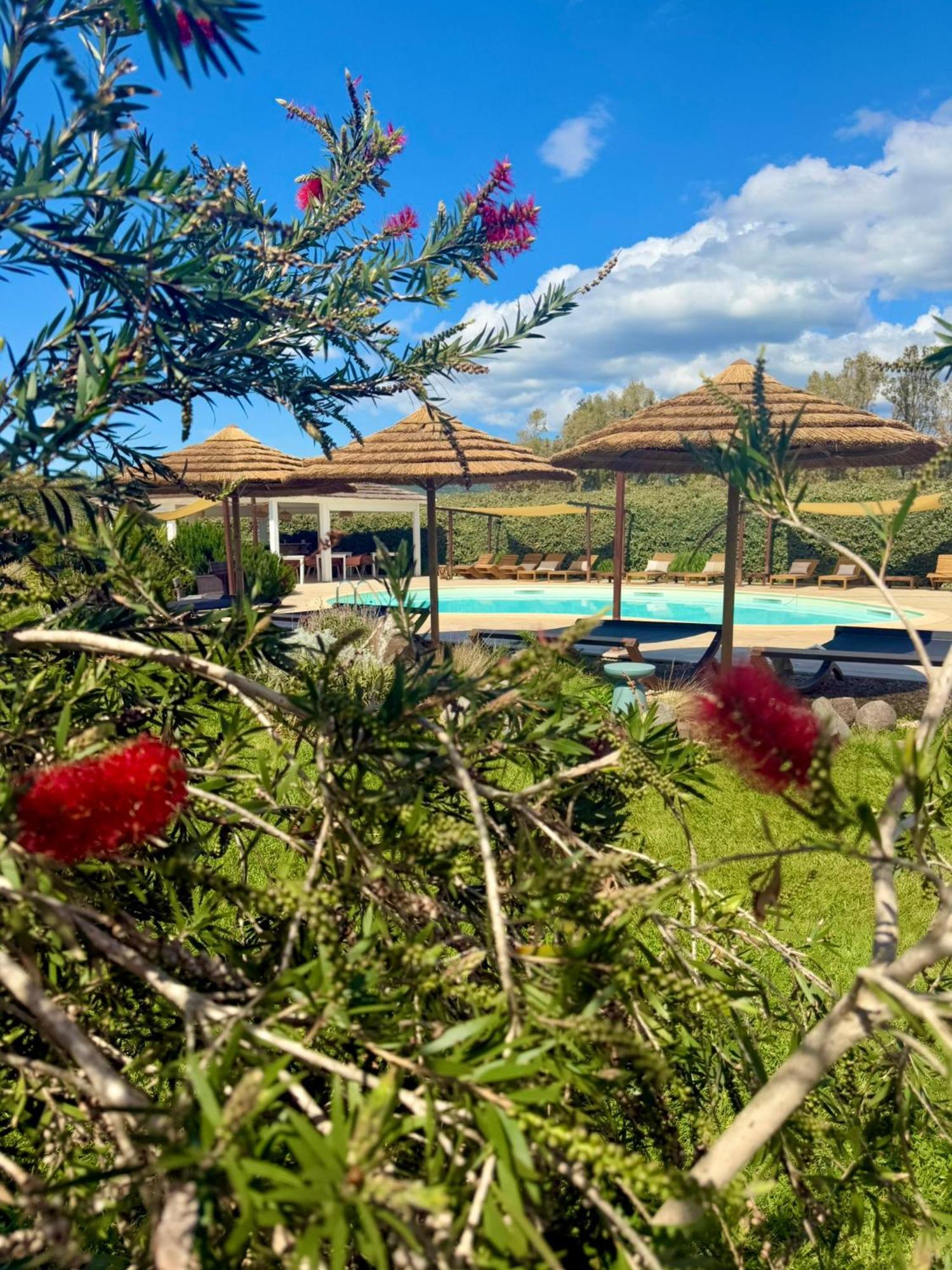 Agroturismo Is Cheas Wine Farm Boutique San Vero Milis
