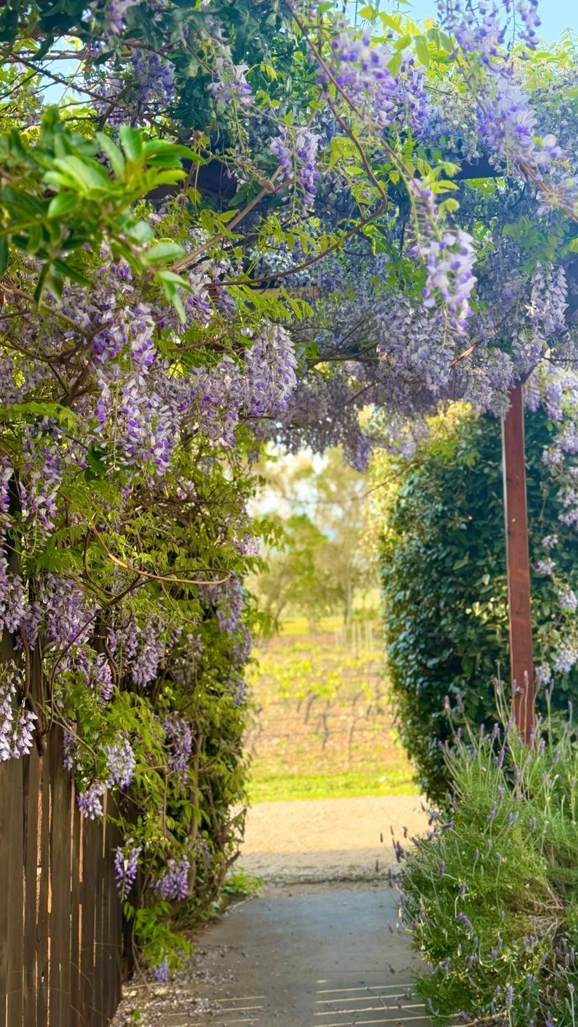 Farm stay Is Cheas Wine Farm Boutique