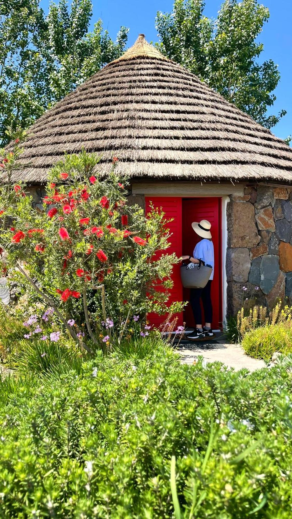 Is Cheas Wine Farm Boutique Alloggio per agriturismo San Vero Milis