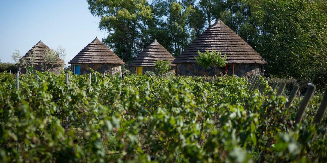 Is Cheas Wine Farm Boutique